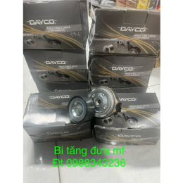 Bi tăng đưa MF (dayco)