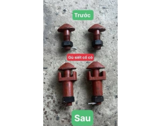 Gù siết cổ cò trước và sau