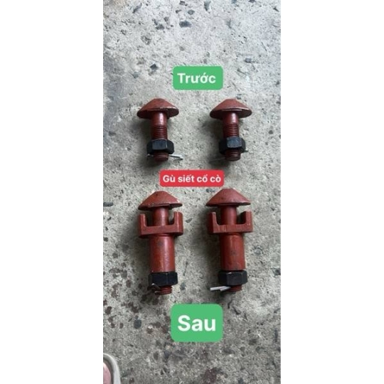 Gù siết cổ cò trước và sau